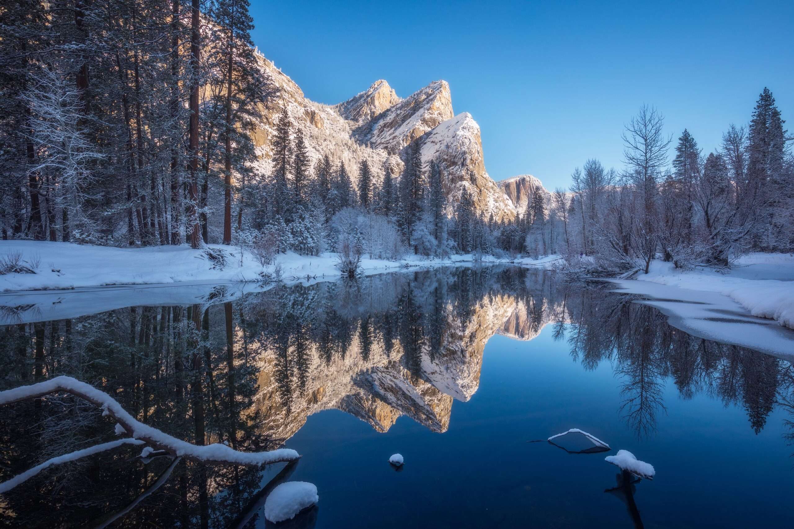 A river surrounded by trees covered in snow during winter