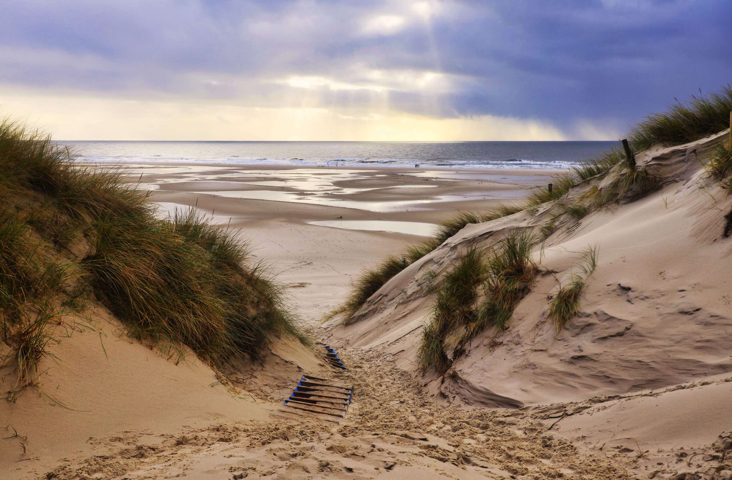 The sand dunes in Amrum, Germany in front of the beach